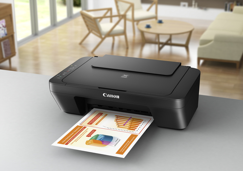 Canon PIXMA MG2550S