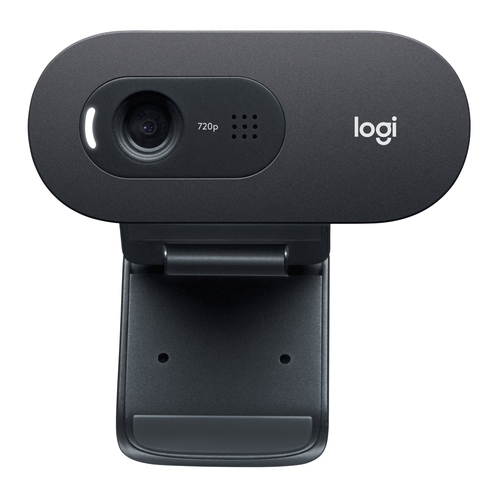 Logitech C505 webcam - Zwart