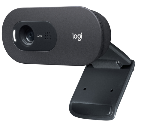 Logitech C505 webcam - Zwart