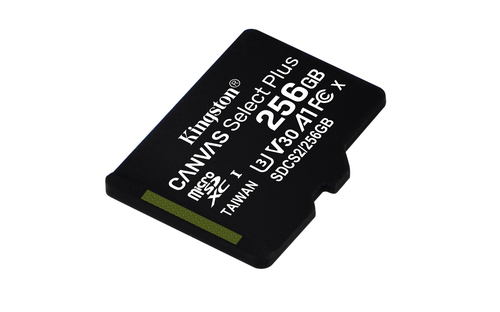 Canvas Select Plus MicroSDXC - 256 GB