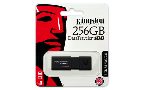 DataTraveler 100 G3 - 256 GB