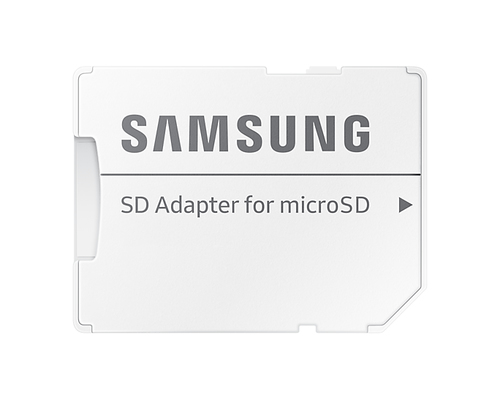 Samsung EVO Plus 256 GB - Class 10