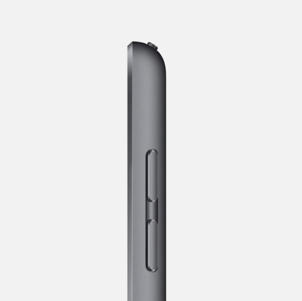 iPad - 2020 - Wi-Fi - 32GB - Grijs