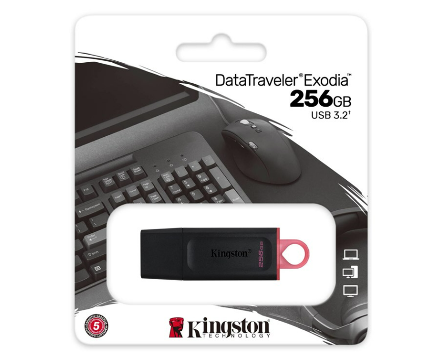 Kingston DataTraveler Exodia - 256 GB