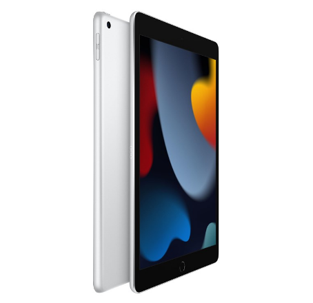 iPad (2021) - 256 GB - WiFi + Cellular - Zilver