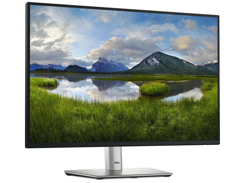 DELL P2425 - 24.1 inch