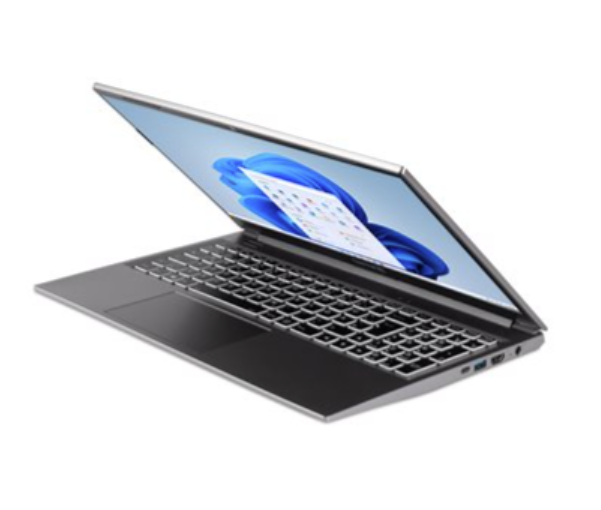 TERRA Mobile 1517 i5-1235U W11-US