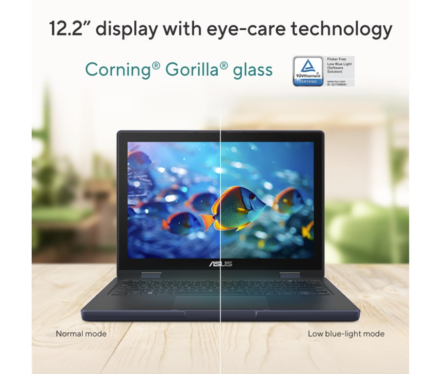 ASUS BR1204FGA-R90217XA