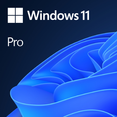 Microsoft Windows 11 Pro - Nederlands - DVD