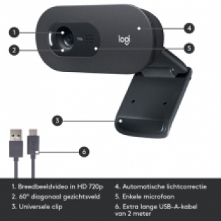 Logitech C505 webcam - Zwart