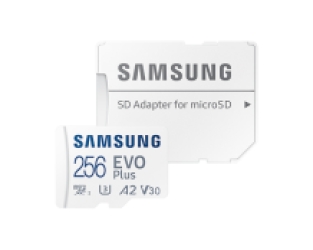 Samsung EVO Plus 256 GB - Class 10