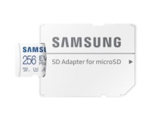 Samsung EVO Plus 256 GB - Class 10