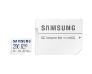 Samsung EVO Plus 256 GB - Class 10