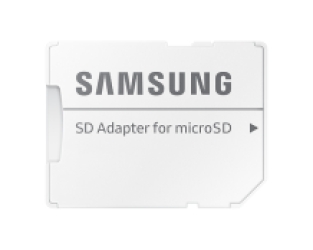 Samsung EVO Plus 256 GB - Class 10