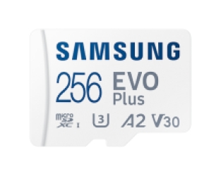 Samsung EVO Plus 256 GB - Class 10