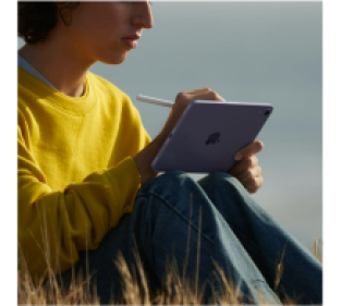 Apple iPad mini (2021) - 256 GB - Wi-Fi + Cellular - Grijs