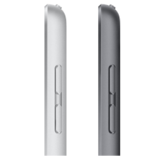 Apple iPad (2021) - 256 GB - WiFi - Spacegrijs