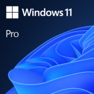 Windows 11 Pro - Nederlands - DVD